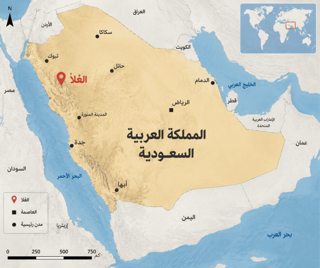 chatgpt image 28 يونيو 2026، 09 34 00 ص