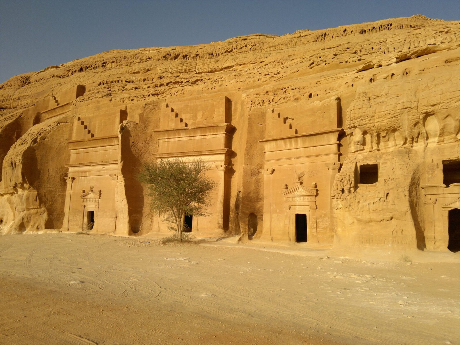 madaan saleh