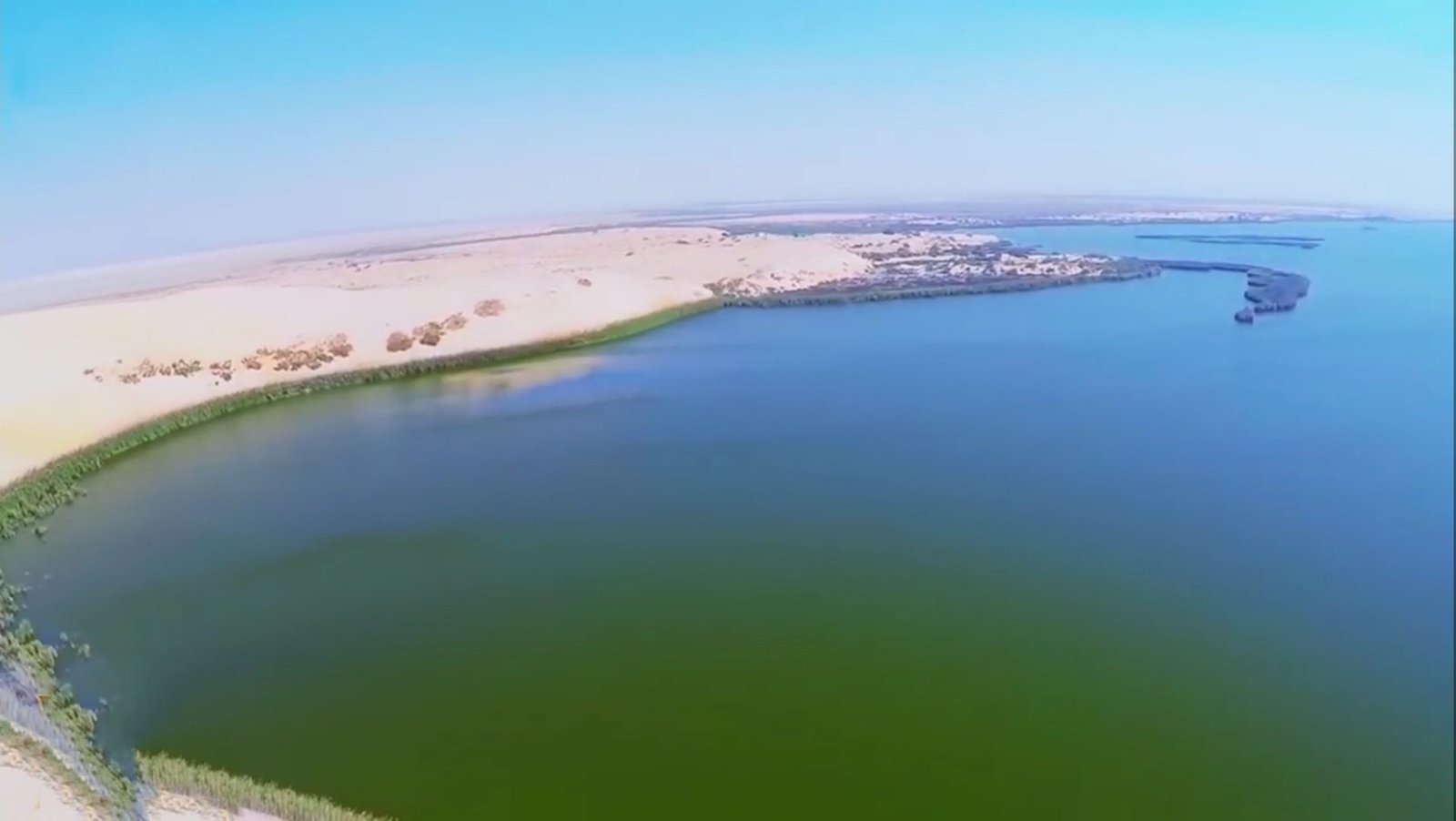 بحيرة الأصفر في الأحساء السعودية