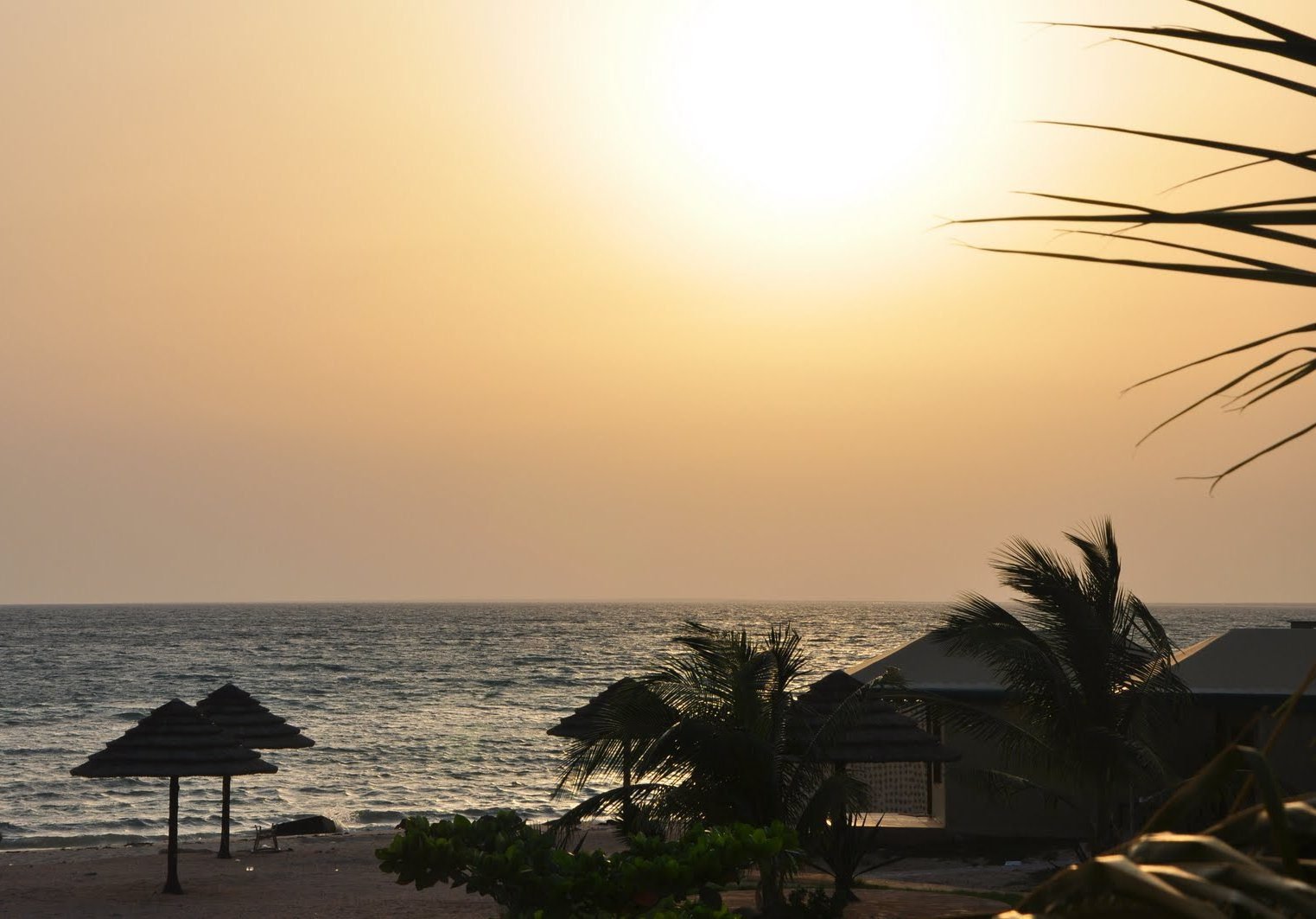 farasan islands