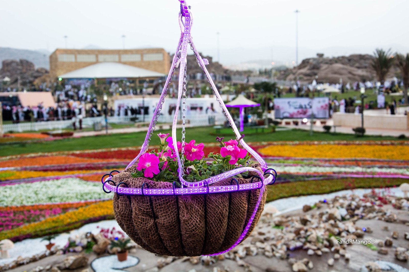 ورود الطائف